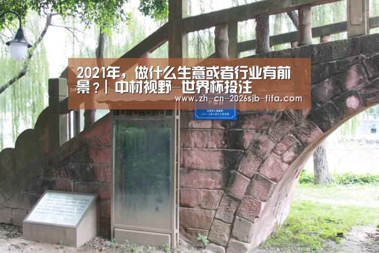 2021年,做什么生意或者行业有前景?| 中材视野-世界杯投注(图2) 世界杯投注